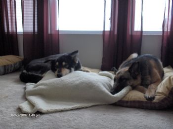 mindycvt profile photo