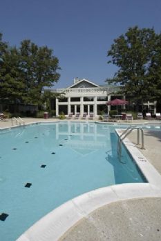 Walt44 profile photo