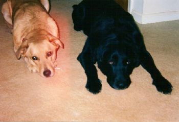 andrea87 profile photo