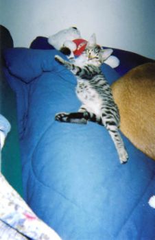 andrea87 profile photo