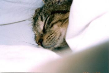 andrea87 profile photo