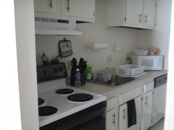 penguin1982 profile photo