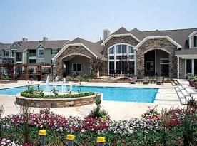 strelitz91 profile photo