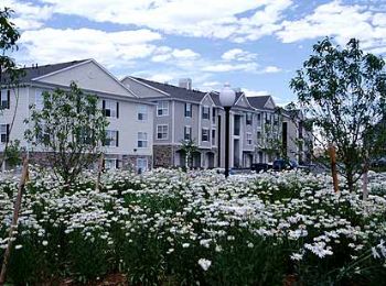 strelitz91 profile photo