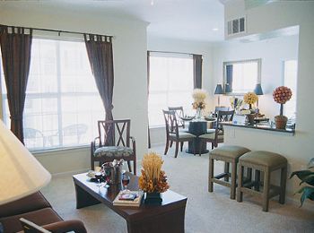 strelitz91 profile photo