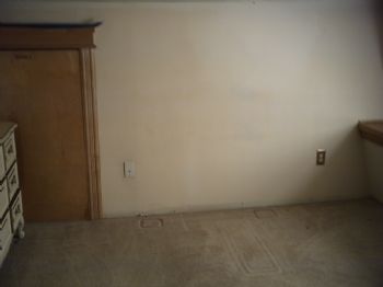 briscod profile photo