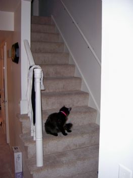 travismack profile photo