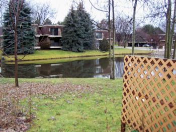 travismack profile photo