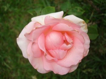 passby212 profile photo