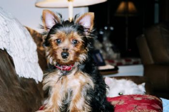 Krysta28 profile photo