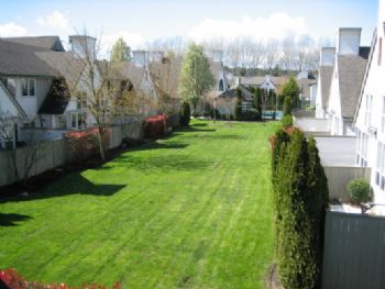 MelloRed profile photo