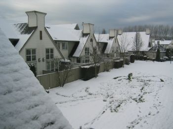 MelloRed profile photo