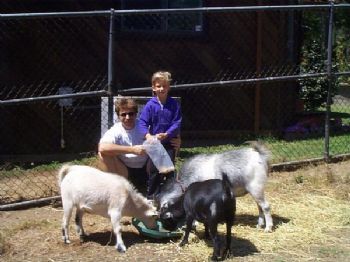 Rich_Machine profile photo