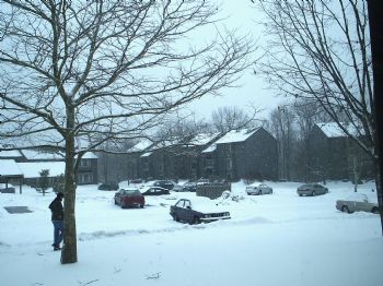 HaveToGet profile photo