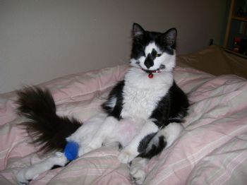 katiem87 profile photo