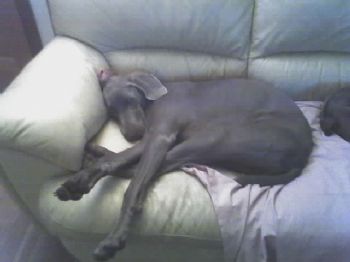 cdmartel profile photo