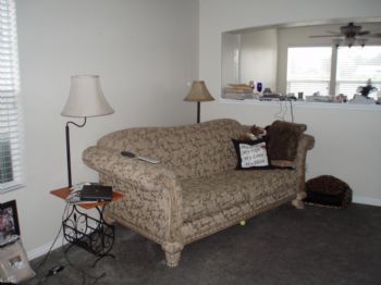 Trisham profile photo