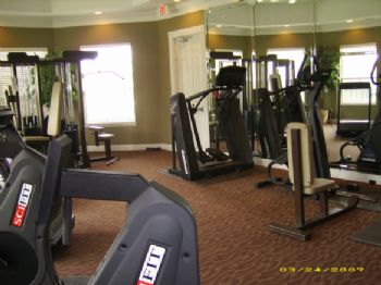 JoeyHalo profile photo