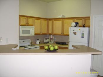 JoeyHalo profile photo