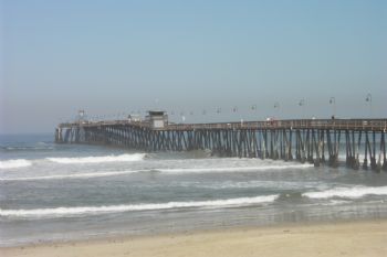 jddive profile photo