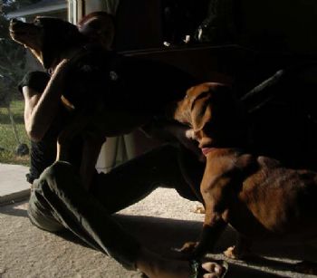 rwdrea profile photo