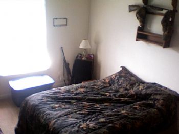 steverstever profile photo