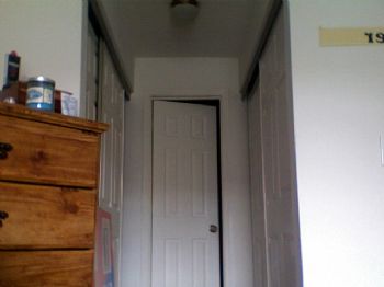 steverstever profile photo