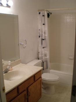 bakauola profile photo