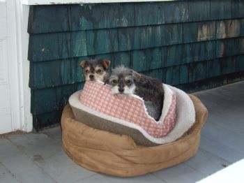 binkymcg profile photo