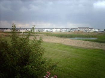 pinball_50 profile photo