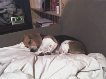 sean48 profile photo