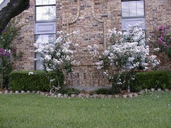 JohnDC profile photo