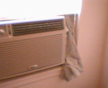 kristismith profile photo