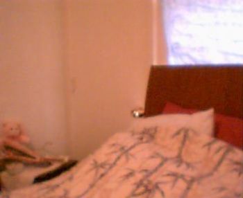 kristismith profile photo