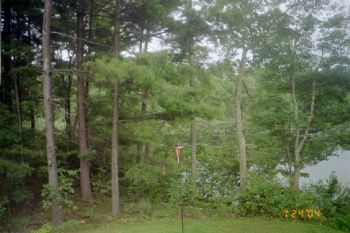 dolores51 profile photo