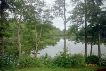 dolores51 profile photo