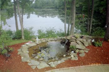 dolores51 profile photo