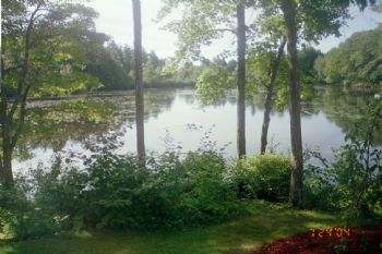 dolores51 profile photo