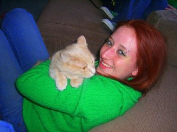 tomcat13 profile photo