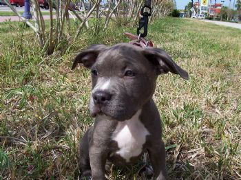 tyler0915 profile photo