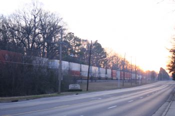 jellyfishes3 profile photo