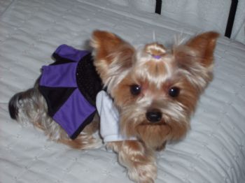 latinangel profile photo