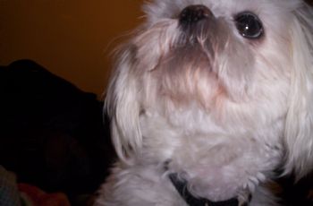 silkkybabeyy profile photo
