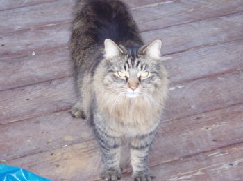 christy25 profile photo