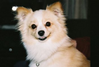 Da_Shay profile photo