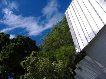 paridise21 profile photo