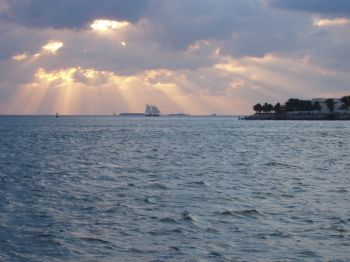 paridise21 profile photo