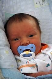 rayelinsragz profile photo