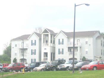 lmbell profile photo