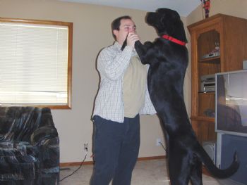 Rampant1 profile photo